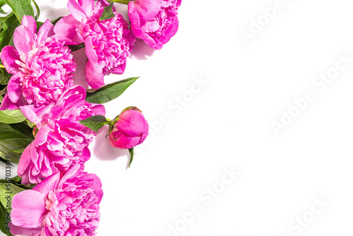 Fragrant pink peonies bouquet isolated on white background. Summer card, seasonal design, festive concept