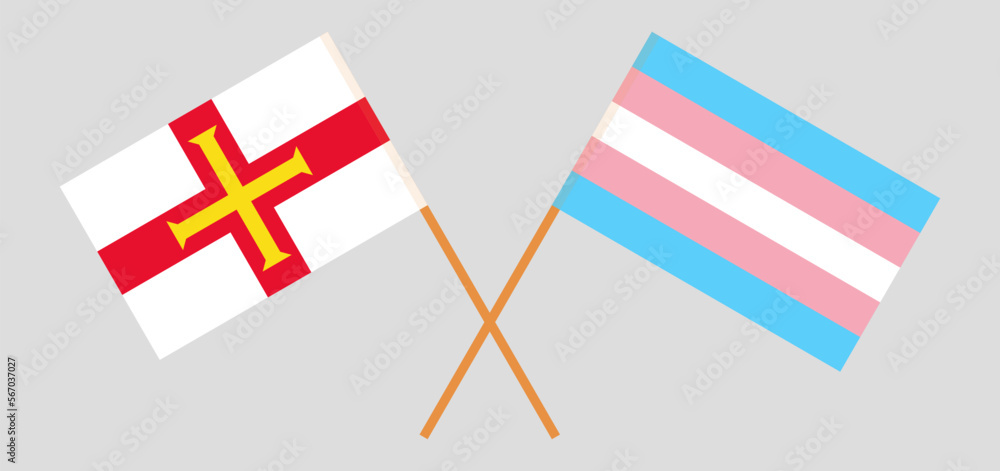Crossed flags of Transgender Pride and Bailiwick of Guernsey. Official colors. Correct proportion