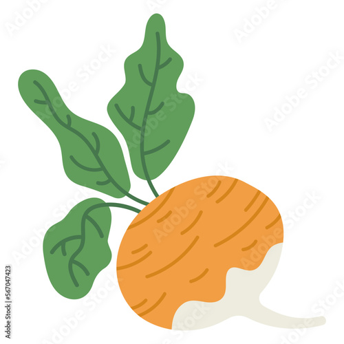 Cartoon turnip. Hand drawn raw tasty turnip root vegetable. Organic garden yellow turnip flat vector illustration on white background
