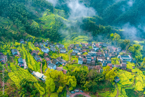 Rapeseed ancient village in Wuyuan, Jiangxi province, China photo