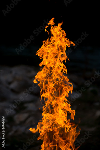 Flame of fire on black background. Fire close-up. Forest fires, burning trees. Firewood by the fireplace.