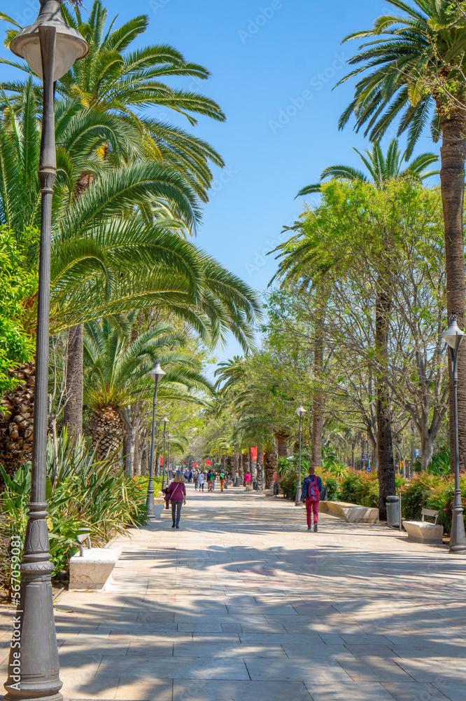 Sidewalk on the Paseo del Parque in Malaga, Spain with palm trees
