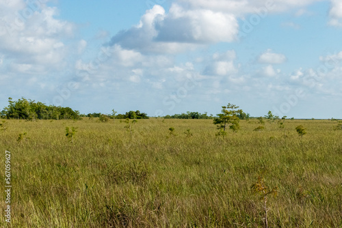 Everglades National Park in Homestead  Florida