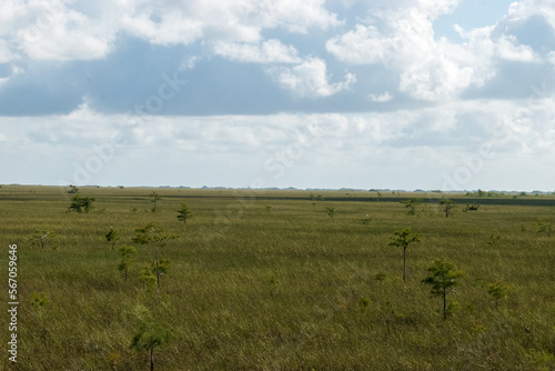 Everglades National Park in Homestead, Florida