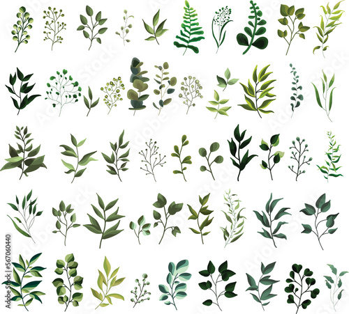 Leaves Decoration PNG
