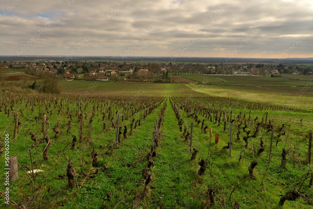 Côte Chalonnaise et vignoble à Givry.