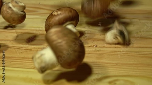 Raw brownmushrooms on wooden chopping board, close-up. Slow motion. photo