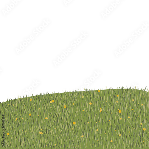 grass and flowers