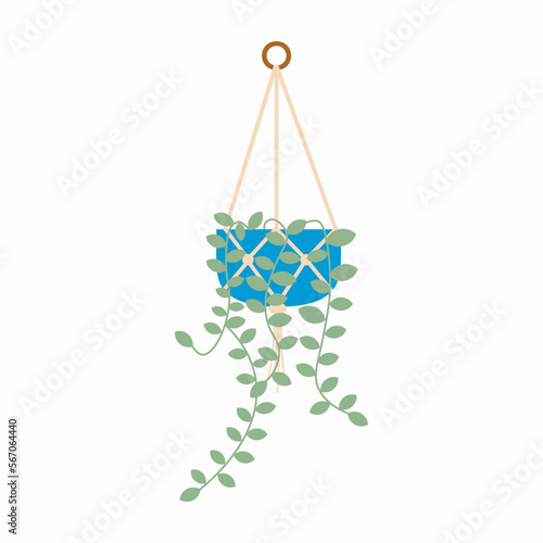 macrame hangers for plants growing in pots, macrame plant hanger, hanging plant, planter, boho deco, flat illustration of a plant
