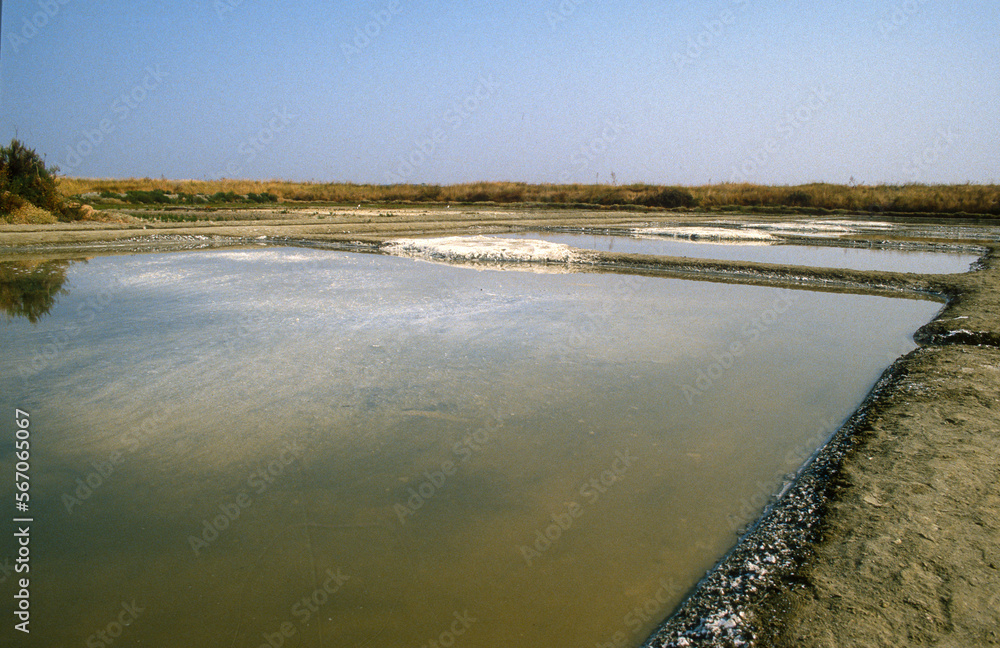 Marais salants, Guerande, 44, Loire Atlantique, France Marais salants, Guerande, 44, Loire Atlantique, France