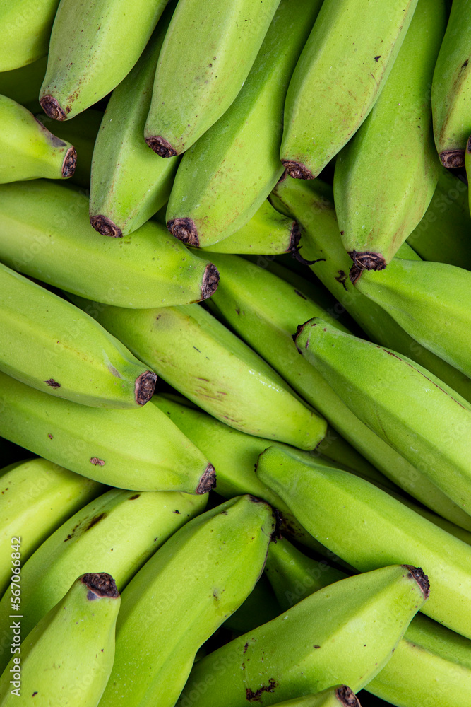 Bunches of unripe banana at outdoor market stall in Sao Paulo city, Brazil