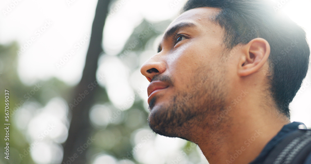 Man, travel and nature adventure while outdoor in summer for fitness, hiking and walking in forest for freedom, exercise and fresh air from trees. Health, wellness and energy of asian male in woods Man, travel and nature adventure while outdoor in summer for fitness, hiking and walking in forest for freedom, exercise and fresh air from trees. Health, wellness and energy of asian male in woods