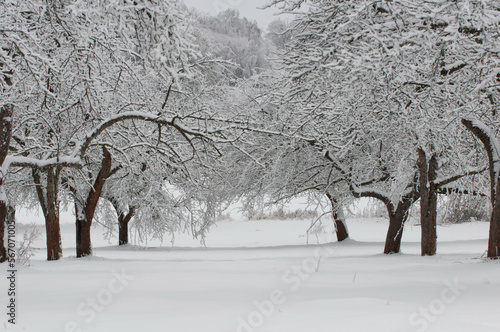 Wallpaper Mural Zima i krajobrazy zimowe, śnieg w górach, mrozy w polsce, zimowe krajobrazy. Torontodigital.ca