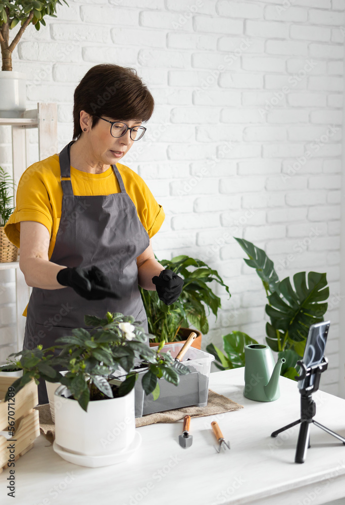 Female blogger sits in front of smartphone camera on tripod records instructional tutorial video for her blog shoots process of replanting flowers and green plants full of soil enjoys botanic hobby Female blogger sits in front of smartphone camera on tripod records instructional tutorial video for her blog shoots process of replanting flowers and green plants full of soil enjoys botanic hobby