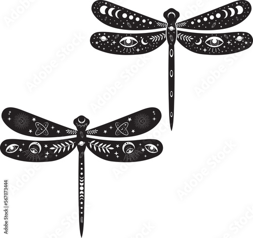 Mystical Dragonfly on white background