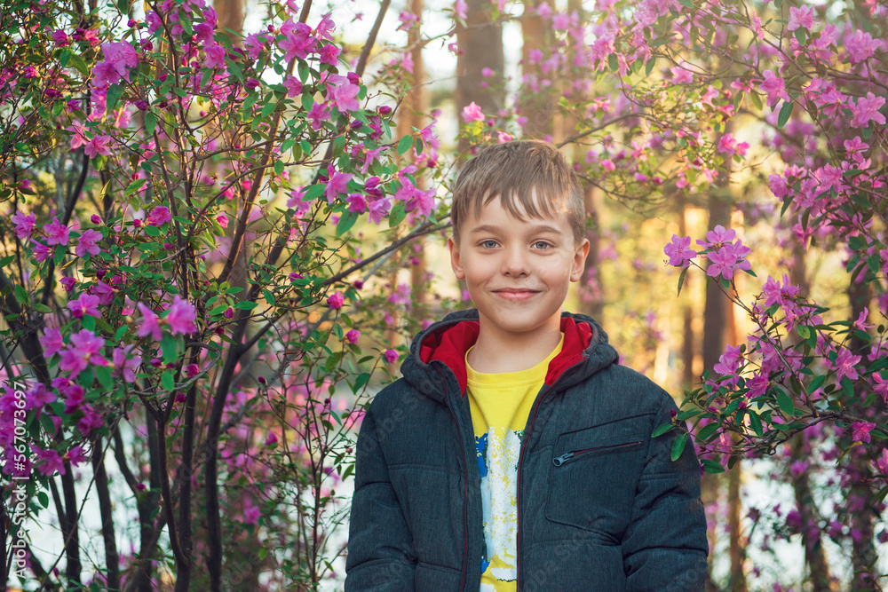 Happy kid travelling in Altai mountains on spring beautiful booming pink Rhododendron flowers background Happy kid travelling in Altai mountains on spring beautiful booming pink Rhododendron flowers background