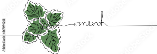 Mint leaf with text in continuous one line drawing. Healthy organic concept. Minimal line art. Vector illustration.