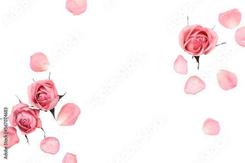 Beautiful flower arrangement pink roses frame on a transparent background