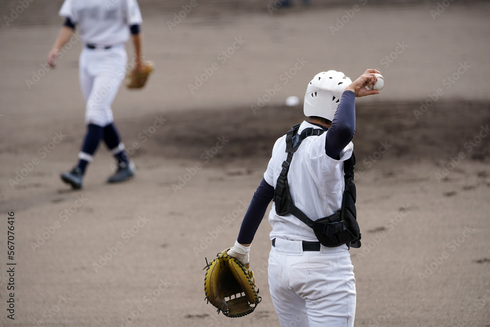 Fototapeta premium 返球するキャッチャー（高校野球）