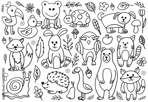 Hand drawn animal set. Cute farm or forest line collection