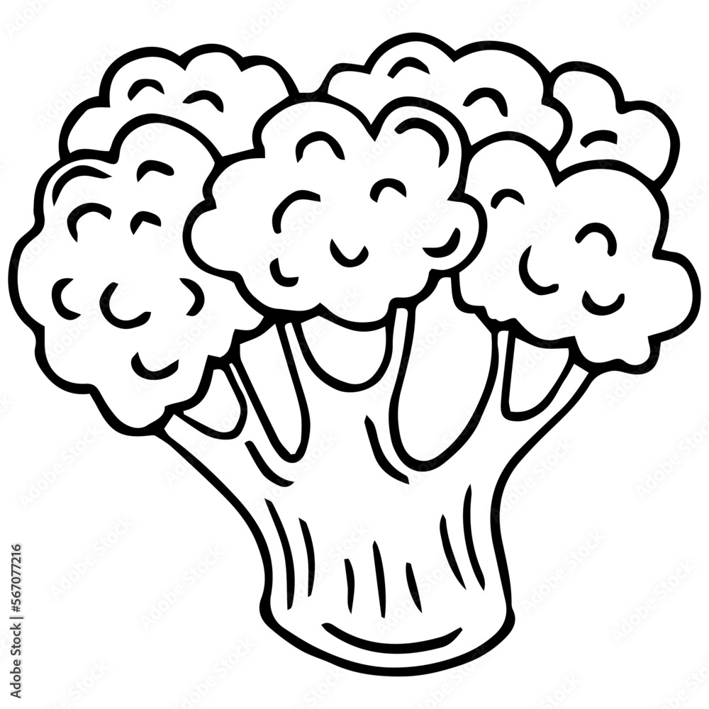 Artistic hand drawn illustration of broccoli, ink drawing imitation Artistic hand drawn illustration of broccoli, ink drawing imitation