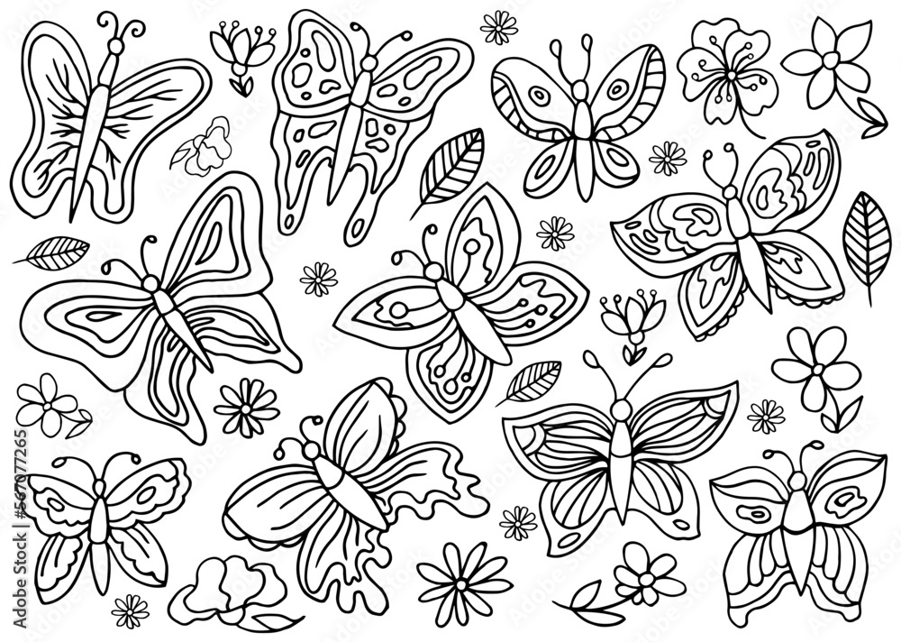 Set with hand drawn butterflies isolated on white background. Flowers and insects spring collection. Vector illustration