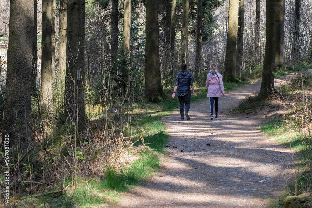 Petite promenade dans les bois entre copines Petite promenade dans les bois entre copines