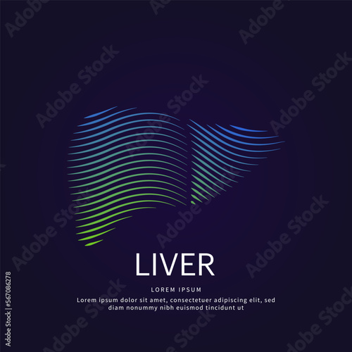 Human liver medical structure. Vector logo liver color silhouette on a dark background. liver care vector design - EPS 10