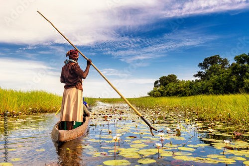 Fototapete In the dugout canoe through the Okavango Delta, Botswana