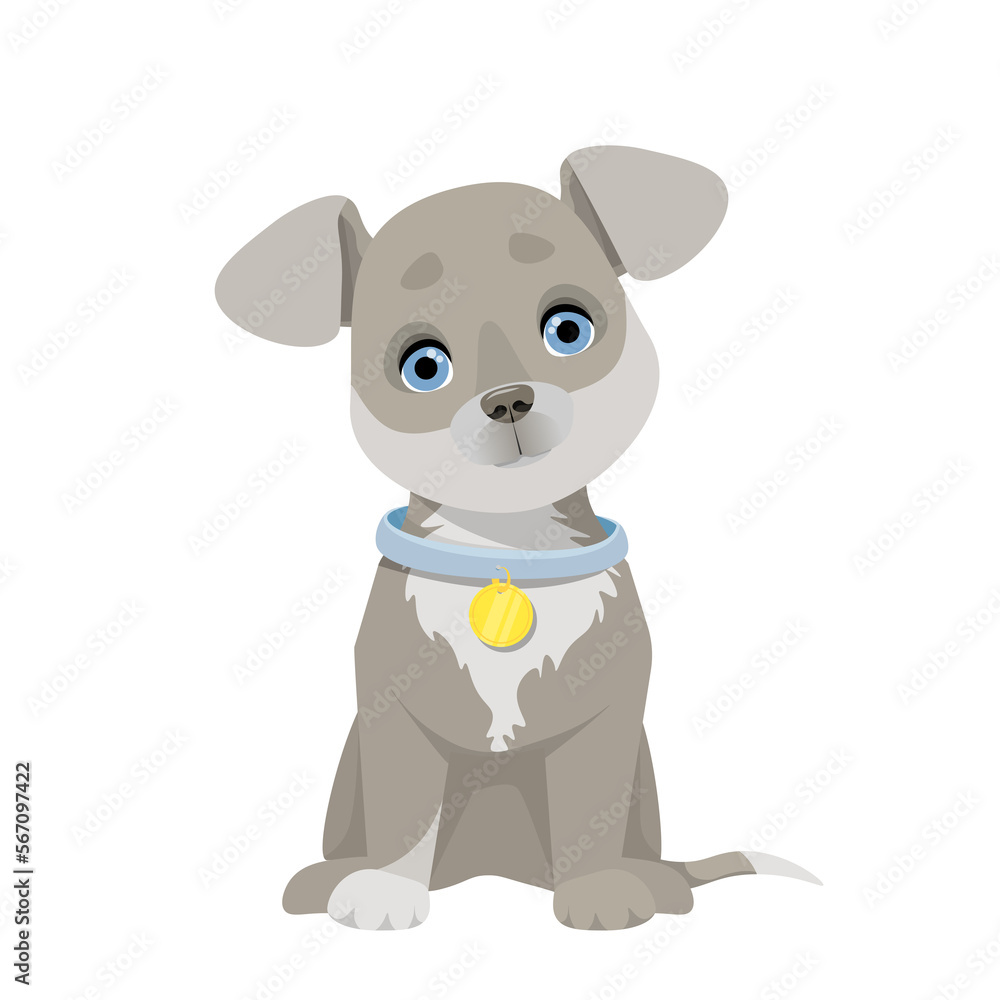 Naklejka premium Cute gray puppy sitting with blue eyes 