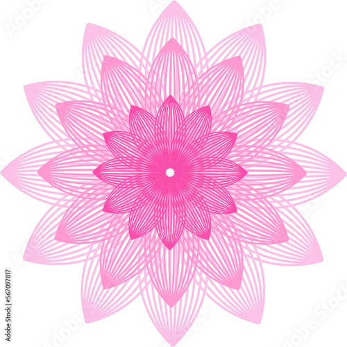 flower-shaped mandala. Different shades of pink. Linear vectorial drawing
