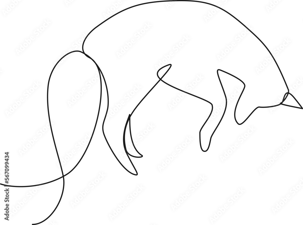 continuous single line drawing of fox jumping high in the air, line art vector illustration continuous single line drawing of fox jumping high in the air, line art vector illustration