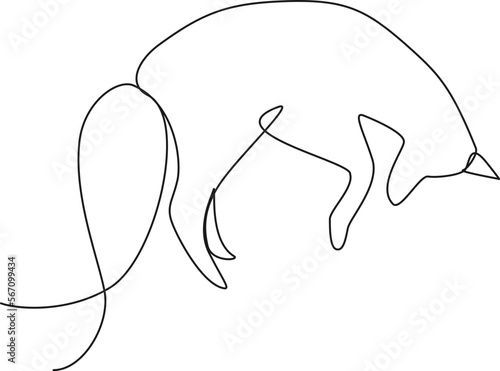 continuous single line drawing of fox jumping high in the air, line art vector illustration