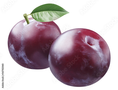 Photography Delicious ripe plums cut out