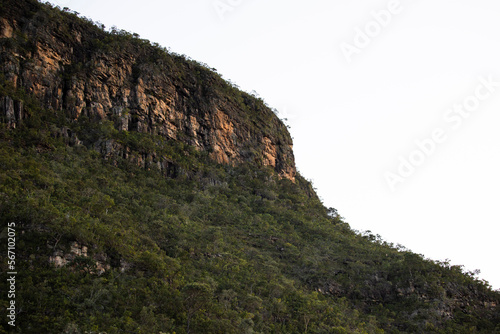 Mountain covered with trees, Landscape of Brazil, Goiás. Scene from the Chapada dos Veadeiros National Park, in Alto Paraíso de Goiás. Morro, with clear sky, vegetation of the Cerrado biome.