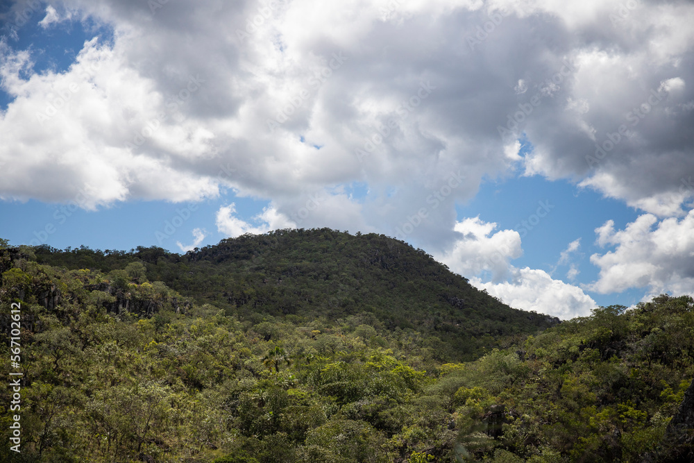 Mountain covered with trees, Landscape of Brazil, Goiás. Scene from the Chapada dos Veadeiros National Park, in Alto Paraíso de Goiás. Morro, with clear sky, vegetation of the Cerrado biome.