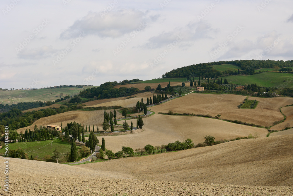 Obraz premium Typical Autumn Tuscan scenery with curved road and cypresses on the hill, Tuscany, Italy, Europe. 