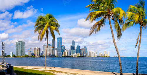 the skyline of miami with palm trees, florida © frank peters