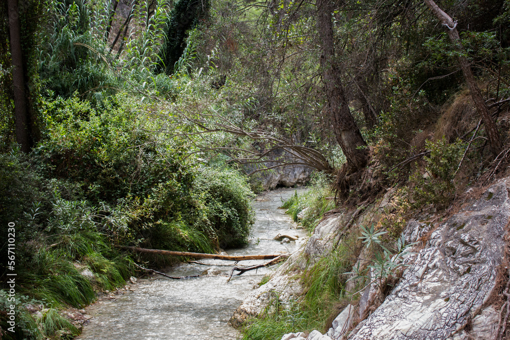 Photos of the river chillar, in Málaga, nature, green, waterfall... perfect for use as wallpaper Photos of the river chillar, in Málaga, nature, green, waterfall... perfect for use as wallpaper