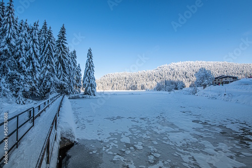 Le lac de Lispach sous la neige en hiver (La Bresse / Vosges)