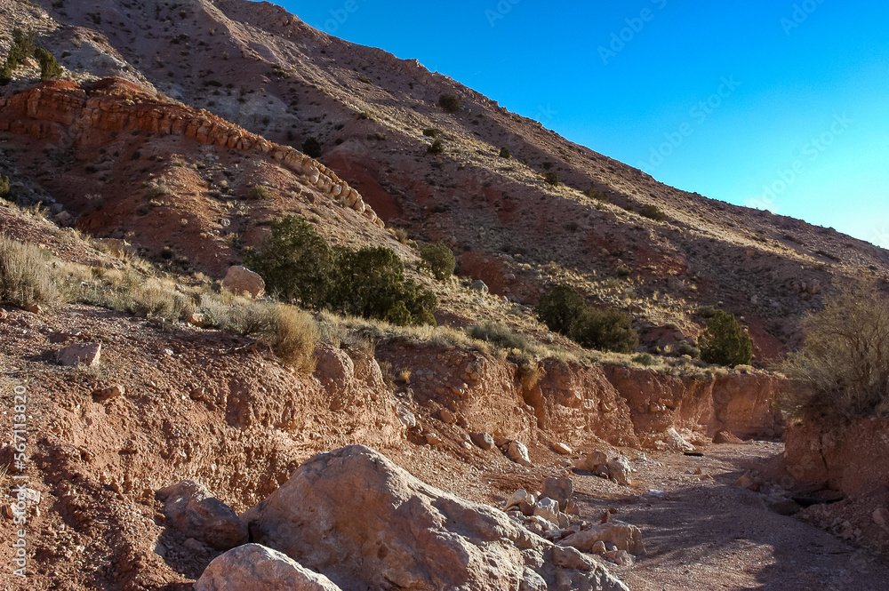 Obraz premium Rocks in a Dry Creek Bed in the Utah Mountains