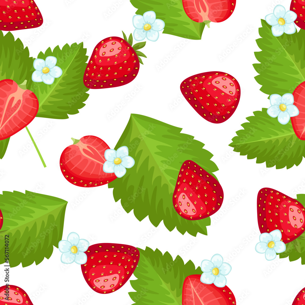Vector seamless pattern with berries Vector seamless pattern with berries