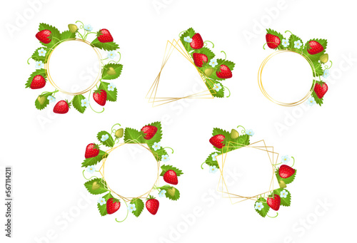 Set of vector frames with strawberry isolated on white background