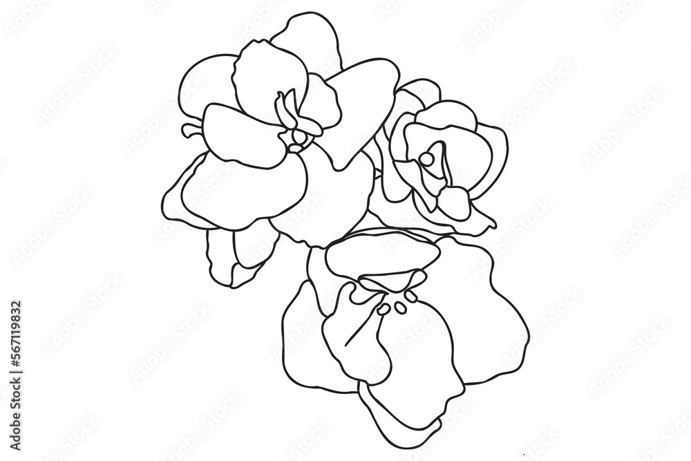 The picture shows violets with a painted outline, it is intended for cards, March 8, Valentine, printing and you can use it in different cases.