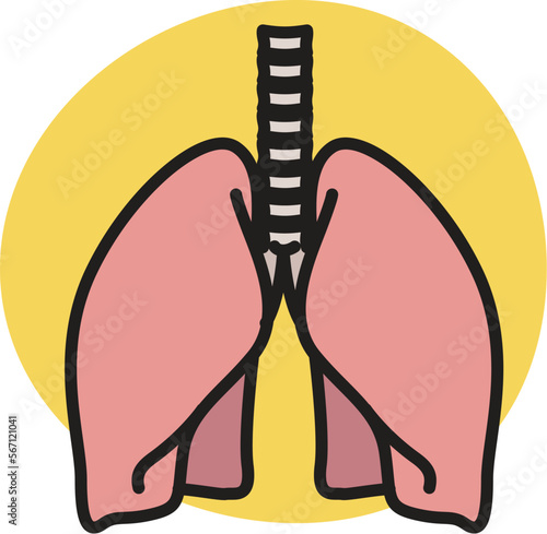 Human Lung - Illustration