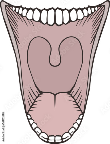 Mad open mouth draw