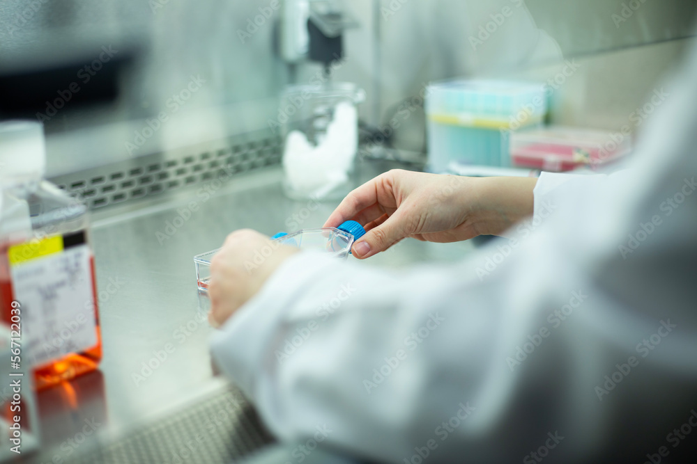 medicine, medical and biology laboratory medicine, medical and biology laboratory