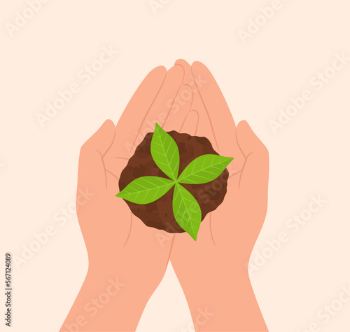 Hands holding in a palms a seedling in the soil, top view. Flat vector illustration