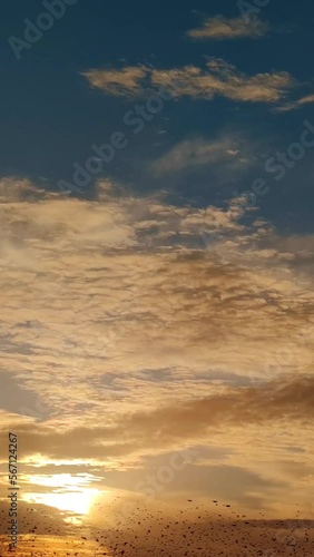 The flock of starlings birds on the evening sky Sunset color.