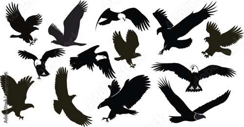 Silhouettes of American Bald Eagle